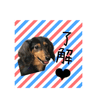 あくびです（個別スタンプ：5）