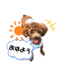 ひなももすたんぷ！(2)（個別スタンプ：1）