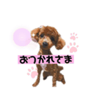 ひなももすたんぷ！(2)（個別スタンプ：4）
