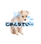 ひなももすたんぷ！(2)（個別スタンプ：5）