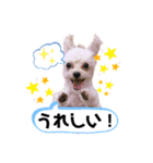 ひなももすたんぷ！(2)（個別スタンプ：6）