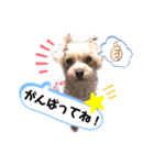 ひなももすたんぷ！(2)（個別スタンプ：9）