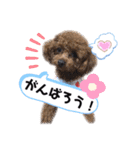 ひなももすたんぷ！(2)（個別スタンプ：10）