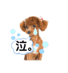 ひなももすたんぷ！(2)（個別スタンプ：12）