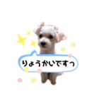 ひなももすたんぷ！(2)（個別スタンプ：14）
