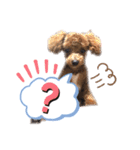 ひなももすたんぷ！(2)（個別スタンプ：15）