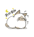 こげまるねこ（個別スタンプ：18）