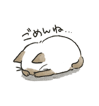 こげまるねこ（個別スタンプ：19）