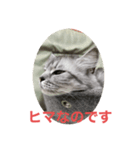 小雪姫スタンプ（個別スタンプ：2）
