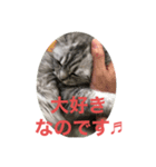 小雪姫スタンプ（個別スタンプ：4）