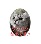 小雪姫スタンプ（個別スタンプ：7）