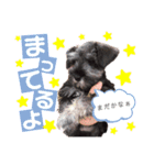 フサオマキザルのフウタと仲間たち（個別スタンプ：10）