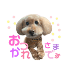 おとぼけといぷー（個別スタンプ：5）