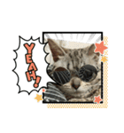 日常使いの猫スタンプ2（個別スタンプ：16）