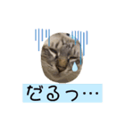 日常の短い言葉（個別スタンプ：7）