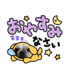 かまってブルちゃん（個別スタンプ：5）