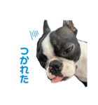 ボステリベッちゃん（個別スタンプ：4）