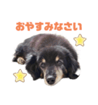 るんちゃん❤️（個別スタンプ：1）