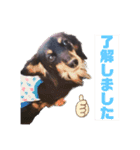 るんちゃん❤️（個別スタンプ：2）