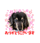 るんちゃん❤️（個別スタンプ：4）