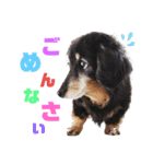 るんちゃん❤️（個別スタンプ：5）