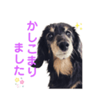 るんちゃん❤️（個別スタンプ：7）