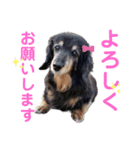 るんちゃん❤️（個別スタンプ：8）