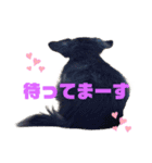 るんちゃん❤️（個別スタンプ：12）