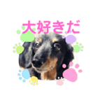 るんちゃん❤️（個別スタンプ：13）