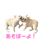 つきちゃんとこはくん（個別スタンプ：3）