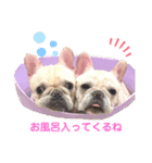 つきちゃんとこはくん（個別スタンプ：5）
