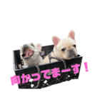 つきちゃんとこはくん（個別スタンプ：6）