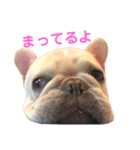 つきちゃんとこはくん（個別スタンプ：8）