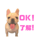 つきちゃんとこはくん（個別スタンプ：9）