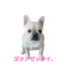 つきちゃんとこはくん（個別スタンプ：10）