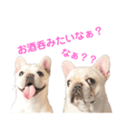 つきちゃんとこはくん（個別スタンプ：12）