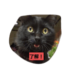 にんざぶろう。スタンプ（個別スタンプ：1）