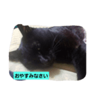 にんざぶろう。スタンプ（個別スタンプ：2）
