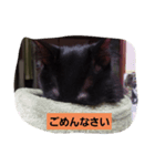 にんざぶろう。スタンプ（個別スタンプ：4）