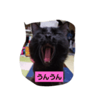 にんざぶろう。スタンプ（個別スタンプ：7）