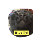 にんざぶろう。スタンプ（個別スタンプ：8）