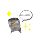 日常的に使えるしらすのスタンプ（個別スタンプ：1）