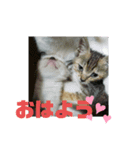 ほのぼの～一家（個別スタンプ：3）