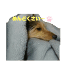 ほのぼの～一家（個別スタンプ：6）