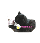 ほのぼの～一家（個別スタンプ：8）