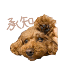 もこもこなもこちゃんのスタンプ（個別スタンプ：1）