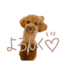 もこもこなもこちゃんのスタンプ（個別スタンプ：2）