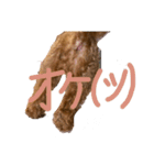 もこもこなもこちゃんのスタンプ（個別スタンプ：10）
