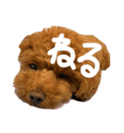 もこもこなもこちゃんのスタンプ（個別スタンプ：11）