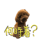 もこもこなもこちゃんのスタンプ（個別スタンプ：13）